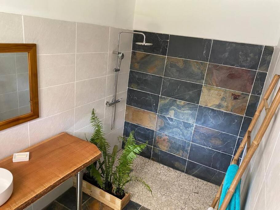 Apartamento Zayann Zen Gourbeyre Exterior foto