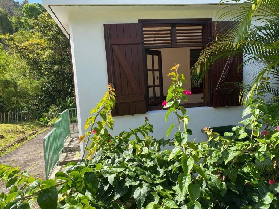 Apartamento Zayann Zen Gourbeyre Exterior foto